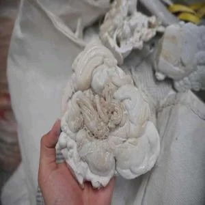 PET LUMPS WHITE PET Lumps Blow kashipur uttarakhand india Plastic4trade
