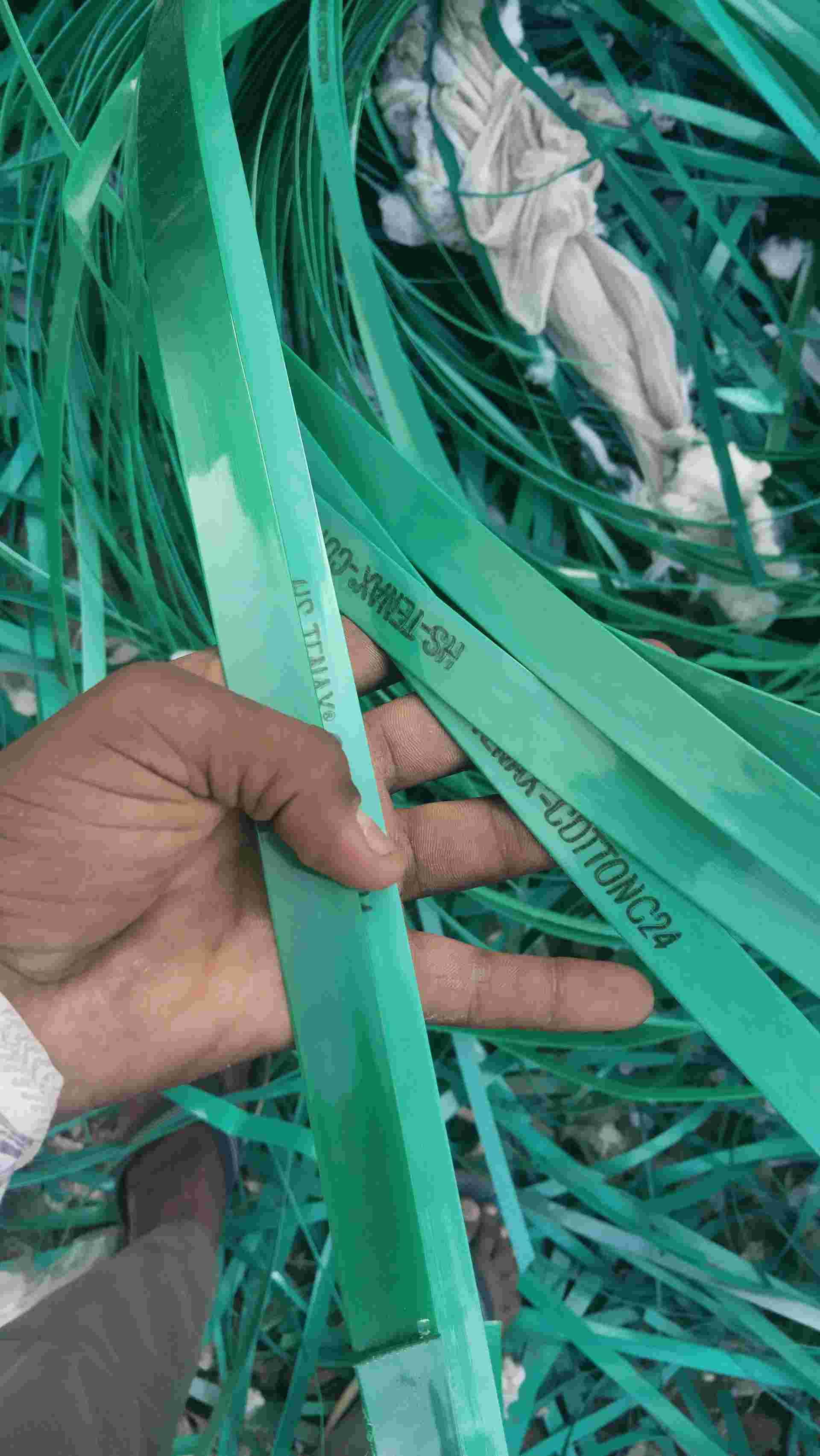 PET PATTI GREEN SCRAP PET Grinding Mix Scrap chotila gujarat india Plastic4trade Plastic4trade