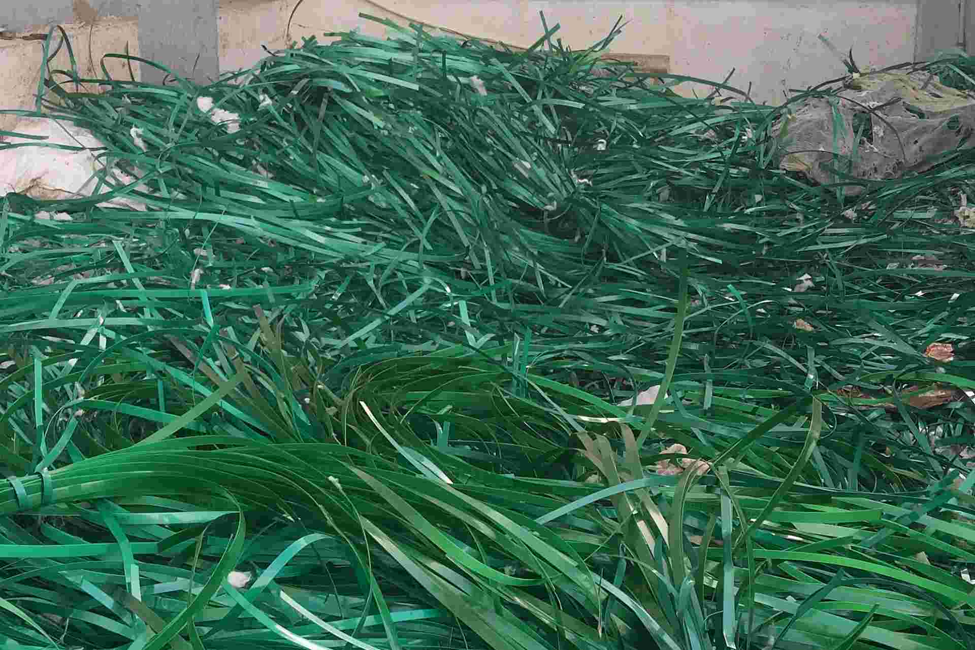 PET PATTI GREEN SCRAP PET Grinding Mix Scrap chotila gujarat india Plastic4trade Plastic4trade
