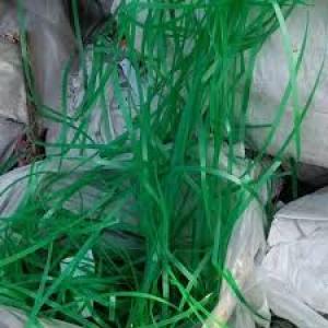 PET PATTI GREEN SCRAP PET Scrap Extrusion Film Grade surat gujarat india Plastic4trade