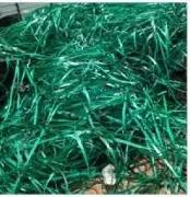 PET PATTI GREEN SCRAP  Scrap Extrusion morbi gujarat india Plastic4trade