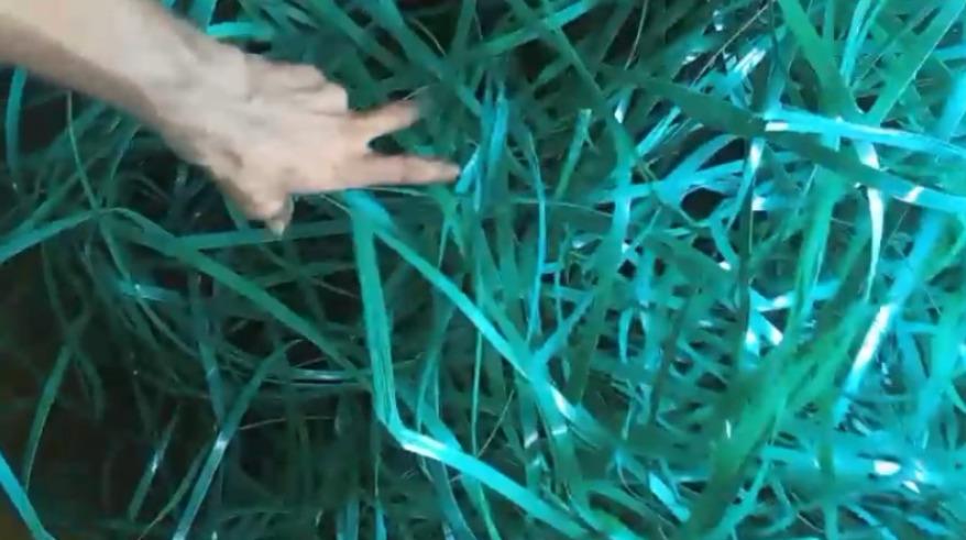 PET PATTI GREEN SCRAP PET Scrap Extrusion palwal haryana india Plastic4trade