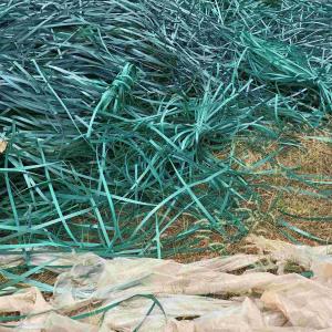 PET PATTI GREEN SCRAP PET Scrap Film Grade dhule maharashtra india Plastic4trade