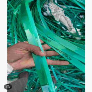 PET PATTI SCRAP GREEN PET Scrap Film Grade bhiwadi rajasthan india Plastic4trade