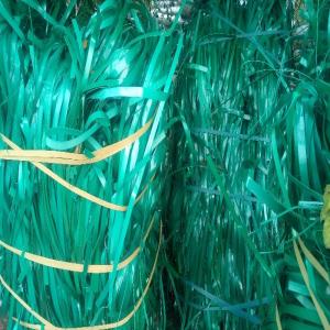 PET PATTI SCRAP GREEN PET Scrap Film Grade rajkot gujarat india Plastic4trade