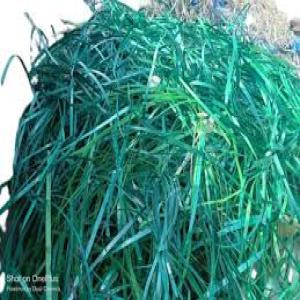 PET PATTI SRCEP PET Scrap Film Grade indore madhya pradesh india Plastic4trade Plastic4trade