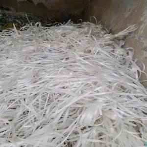 PET PATTI SRCEP PET Scrap Film Grade rajkot gujarat india Plastic4trade