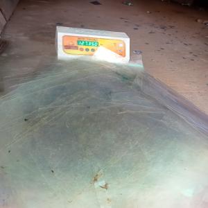 PET SHEET SCRAP PET Scrap Extrusion new delhi delhi india Plastic4trade
