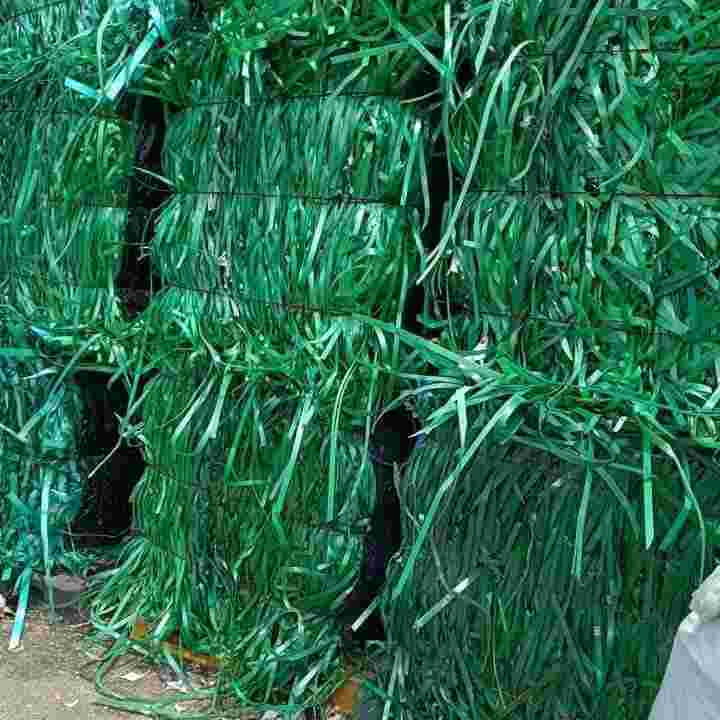 PET STRAP GREEN PET Scrap Baled Monofilament junagadh gujarat india Plastic4trade