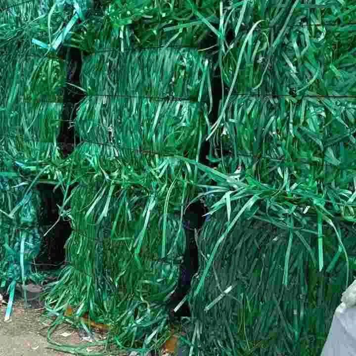 PET STRAP GREEN PET Scrap Baled Monofilament junagadh gujarat india Plastic4trade