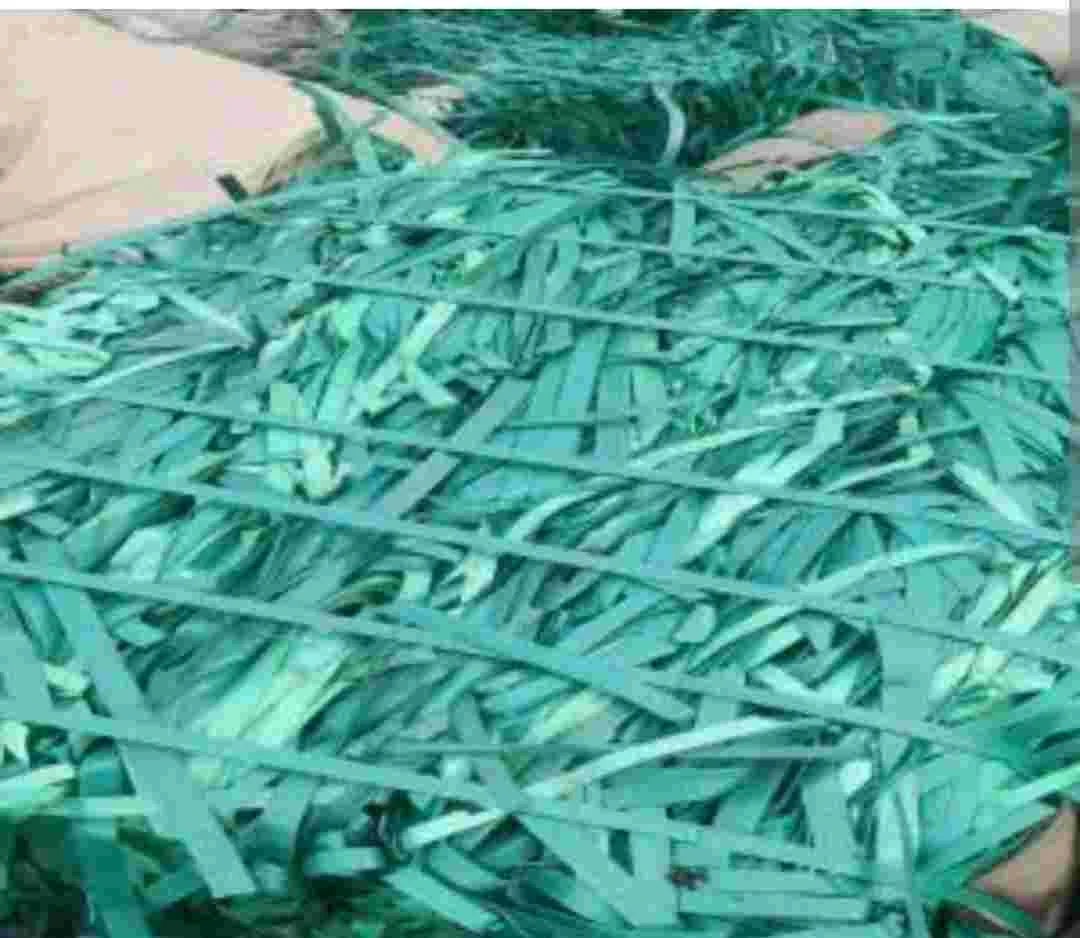 PET STRAP GREEN PET Scrap Mix Scrap morbi gujarat india Plastic4trade