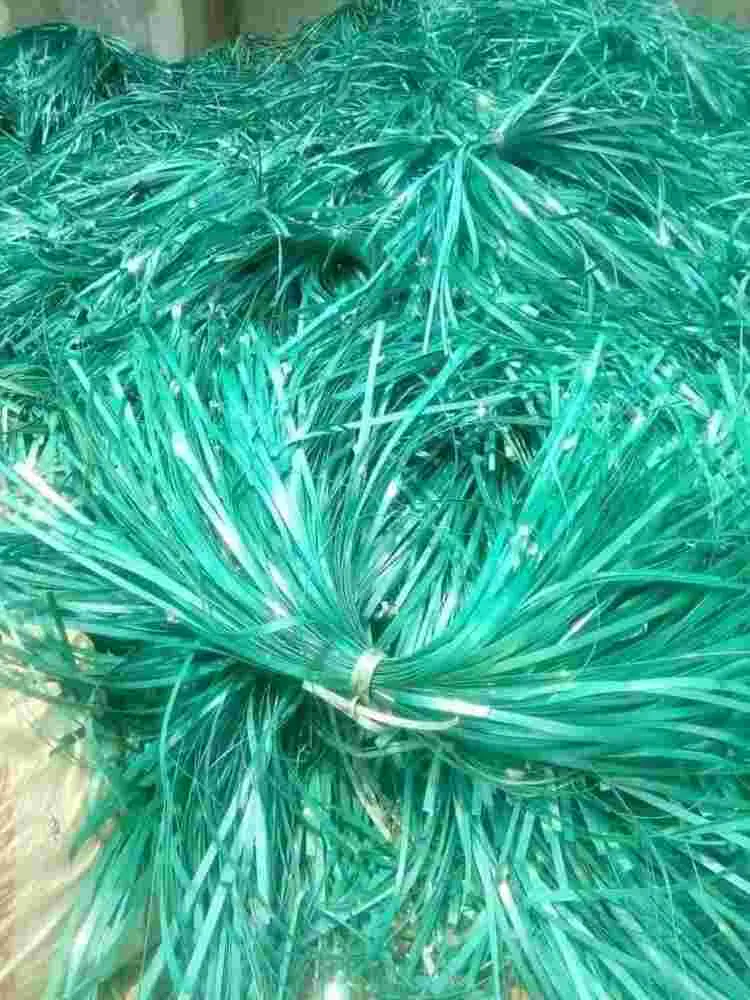 PET STRAP WASTE PET Scrap Baled RAFFIA rajkot gujarat india Plastic4trade