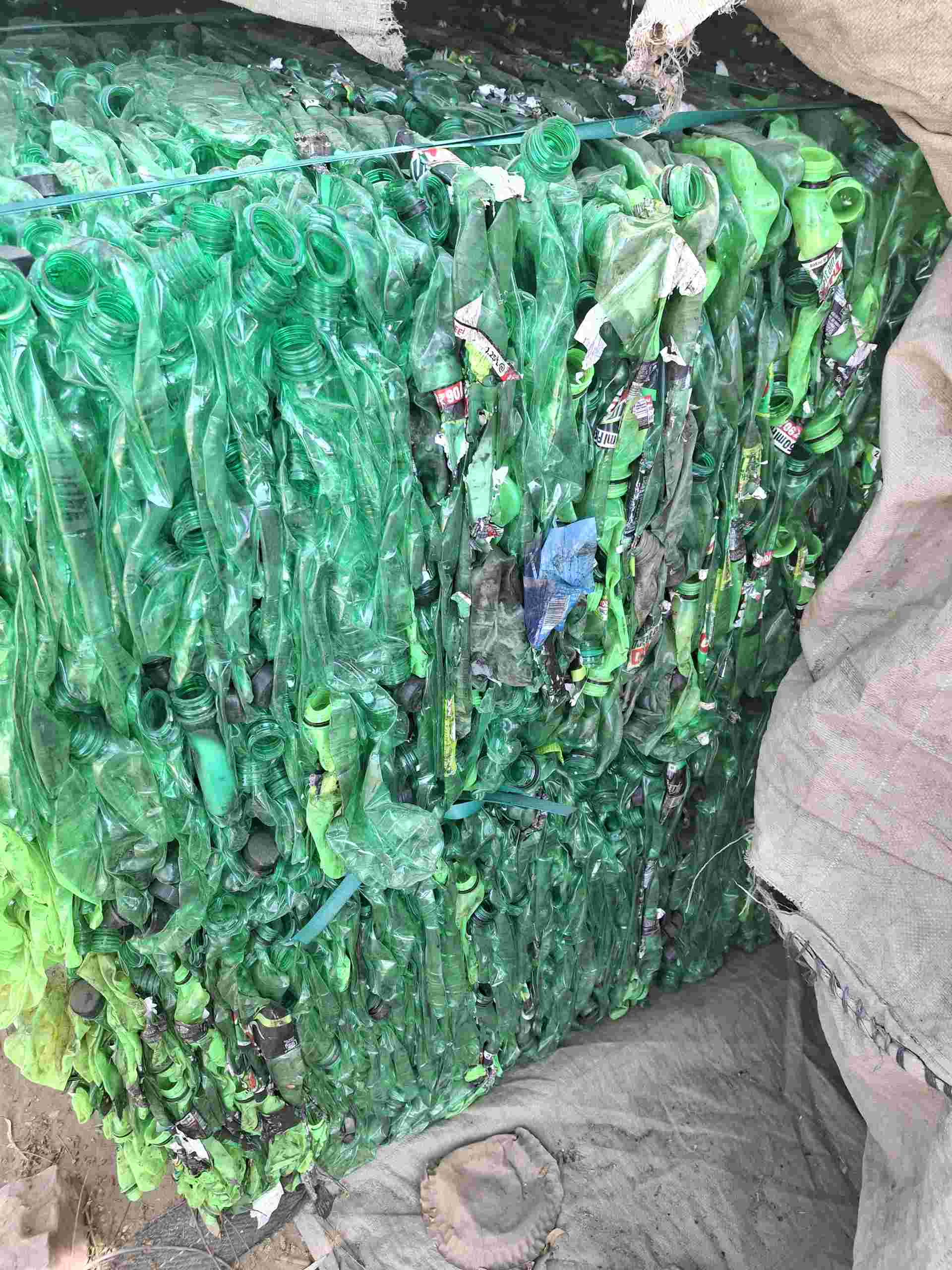 PETE BOTTOLE PET Baled Blow kosi uttar pradesh india Plastic4trade