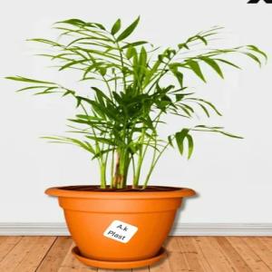 PLASTIC PLANTERS NUMBER 10 PP Finish Goods Injection Molding ahilyanagar maharashtra india Plastic4trade Plastic4trade
