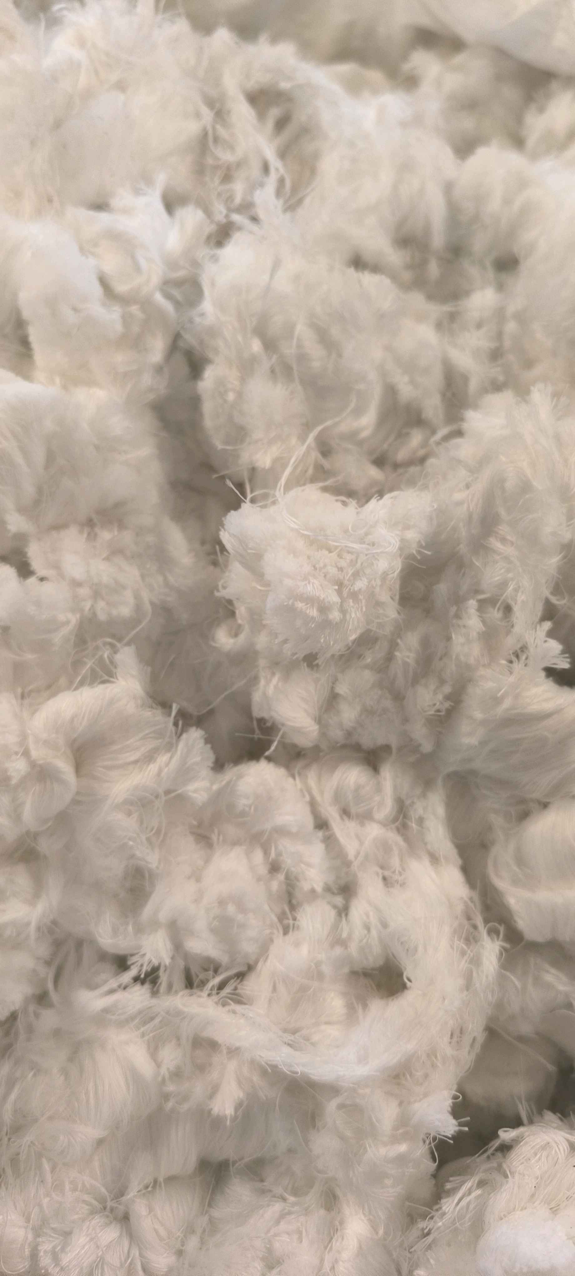 POLYESTER FIBERS POLYESTER Fibres Floor Sweeping Monofilament undefined dadra and nagar haveli and daman and diu india Plastic4trade Plastic4trade