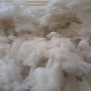 POLYESTER FLAT POLYESTER Scrap Mix Scrap sri ganganagar rajasthan india Plastic4trade