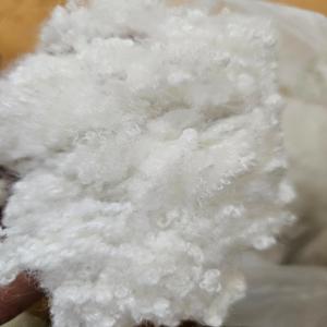 POLYSTER FIBRE POLYESTER Scrap, Fibres Film Grade jeddah makkah province saudi arabia Plastic4trade