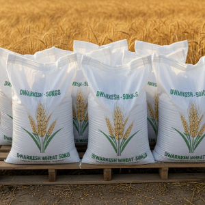 PP BAG PP Bag RAFFIA nichimandal gujarat india Plastic4trade