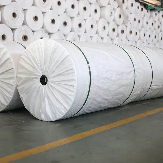 PP BAGS AND FABRIC PP Rolls RAFFIA jaipur rajasthan india Plastic4trade