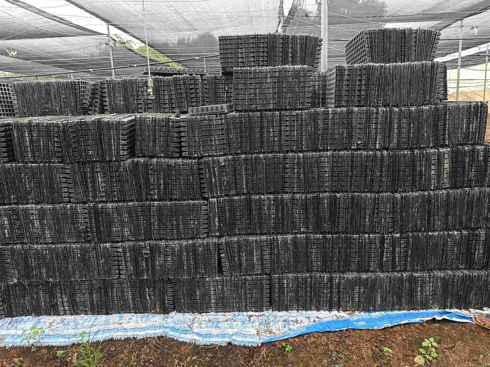 HIPS SEEDLING TRAY SCRAP PP Scrap Injection Molding guntur andhra pradesh india Plastic4trade