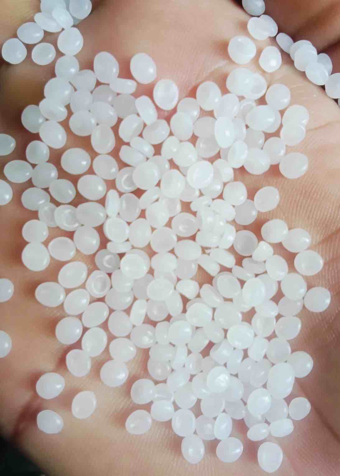 PP BOROUGE NP PP Prime/Virgin Injection Molding surat gujarat india Plastic4trade