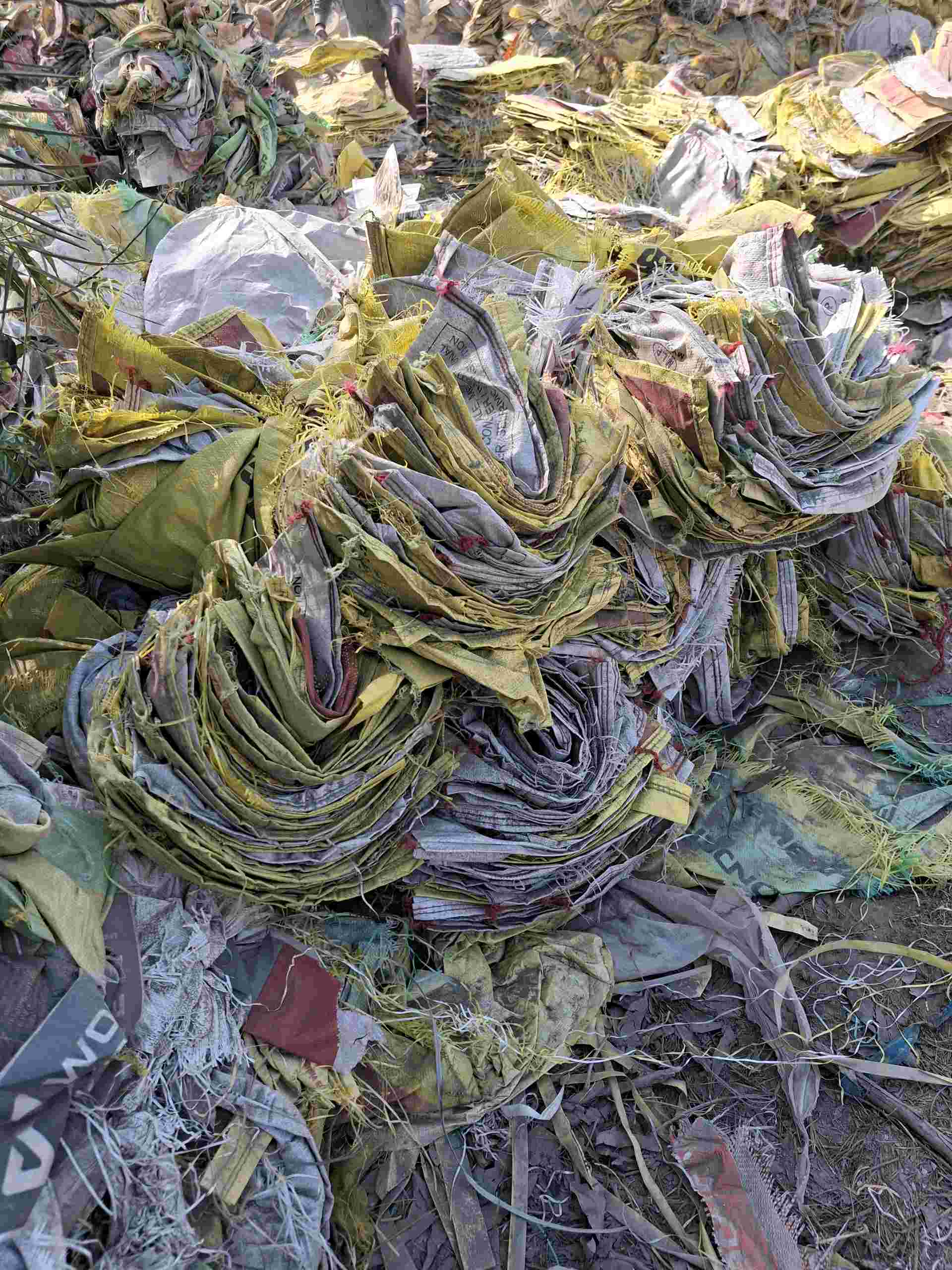 PP CEMENT BAG RAFFIA PP Scrap, Mix Material, Bag RAFFIA ghaziabad uttar pradesh india Plastic4trade