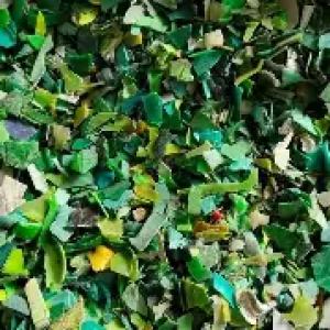 PP COLORD GRINDING SCRAP PP Grinding Injection Molding chennai tamil nadu india Plastic4trade Plastic4trade