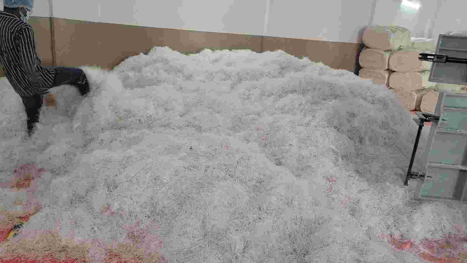 PP COMPANY WASTE RAFFIA GRINDING GRASS PP Grinding, Baled RAFFIA surat gujarat india Plastic4trade