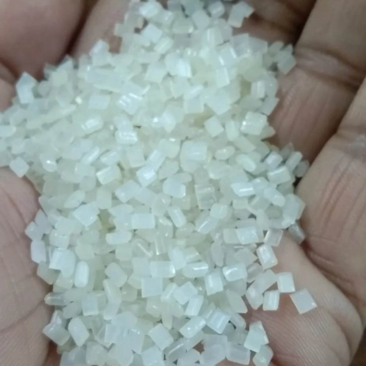 PP DANA PP Prime/Virgin Injection Molding deoria uttar pradesh india Plastic4trade