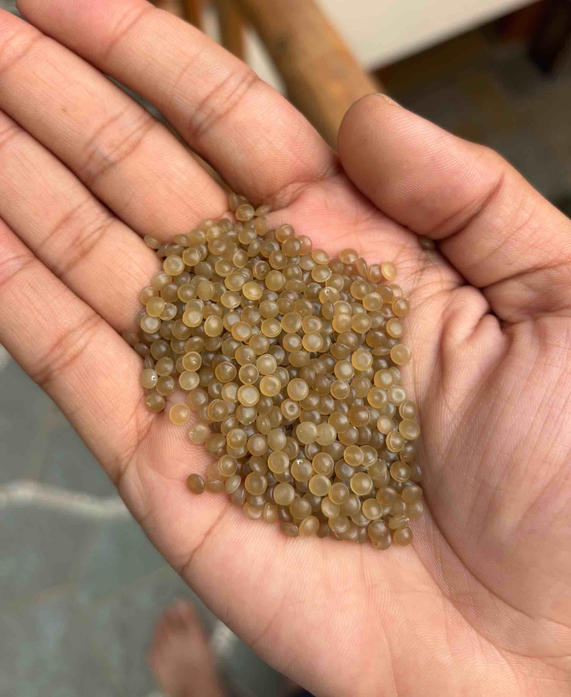 PP DULL NATURAL PP Reprocess Granule Injection Molding bidadi karnataka india Plastic4trade