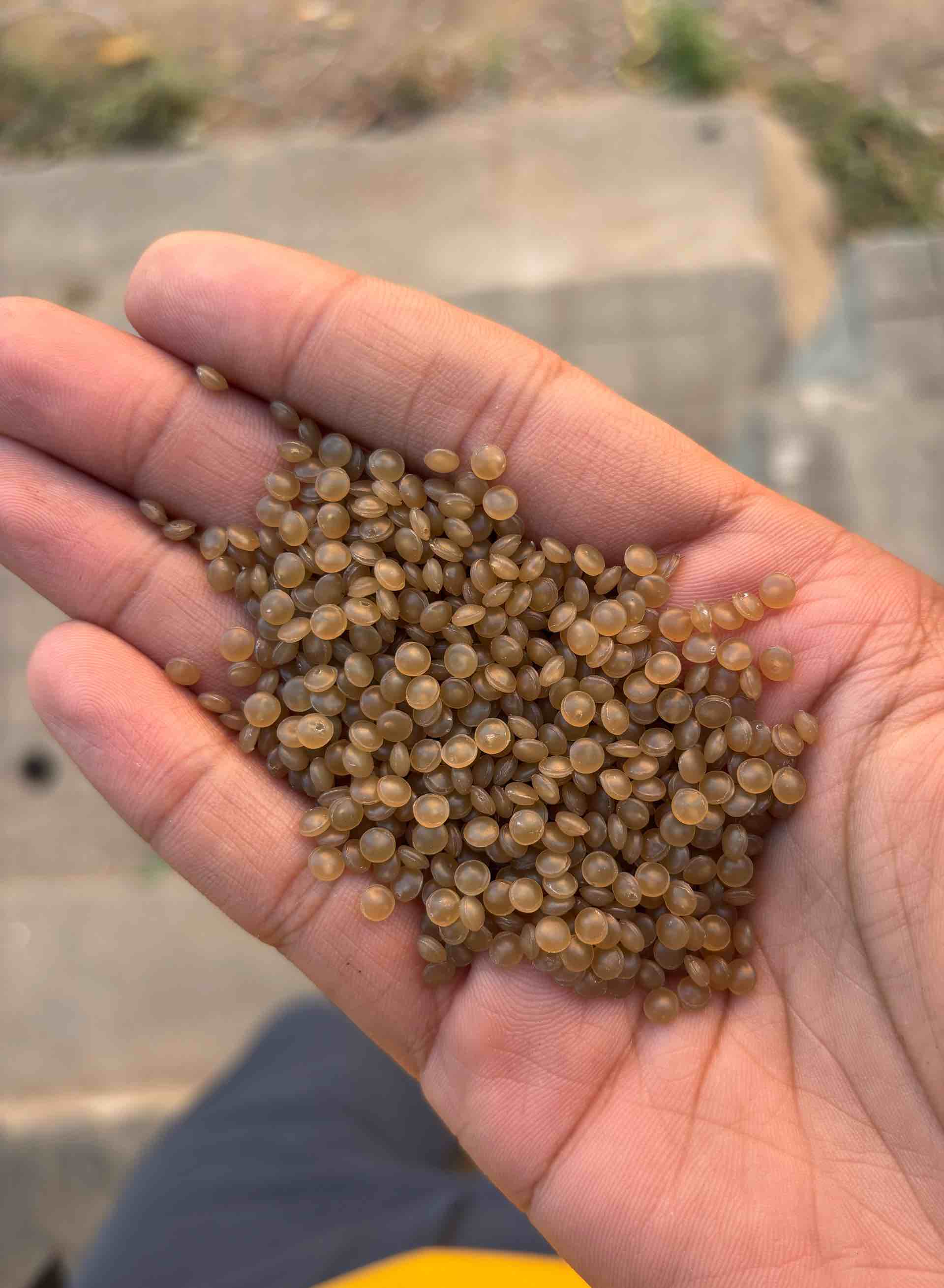 PP DULL NATURAL PP Reprocess Granule Injection Molding bidadi karnataka india Plastic4trade