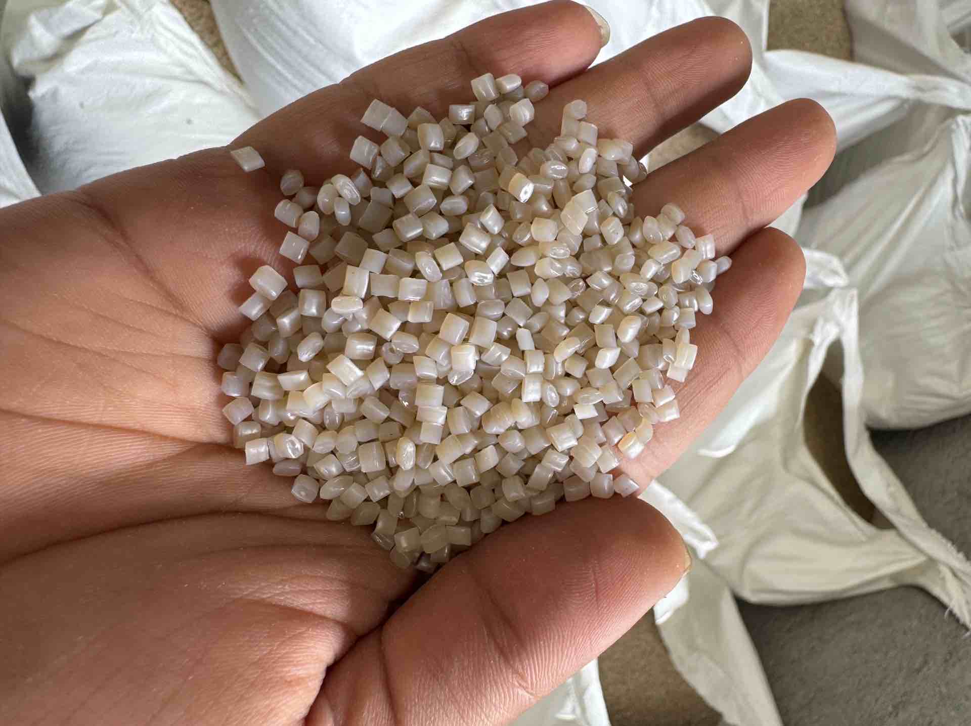 PP GANULES PP Reprocess Granule Injection Molding dhoraji gujarat india Plastic4trade