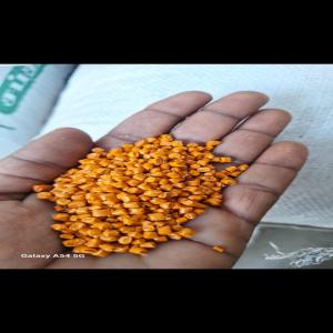 PP GRANULES PP Reprocess Granule Injection Molding vapi gujarat india Plastic4trade Plastic4trade