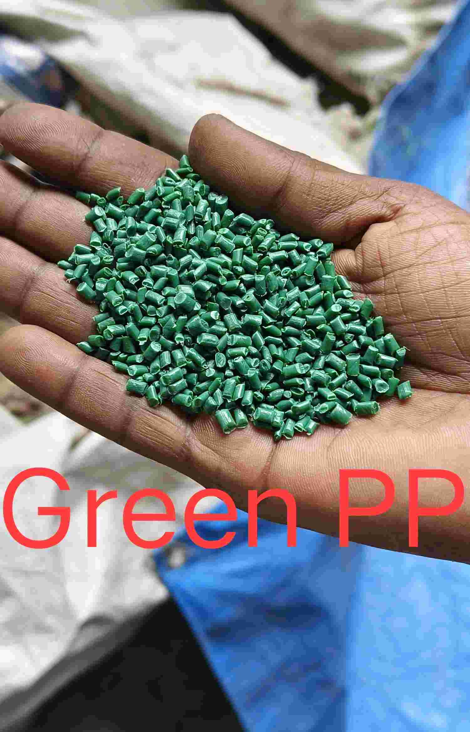 PP GREEN GRANULE PP Reprocess Granule Injection Molding kolkata west bengal india Plastic4trade