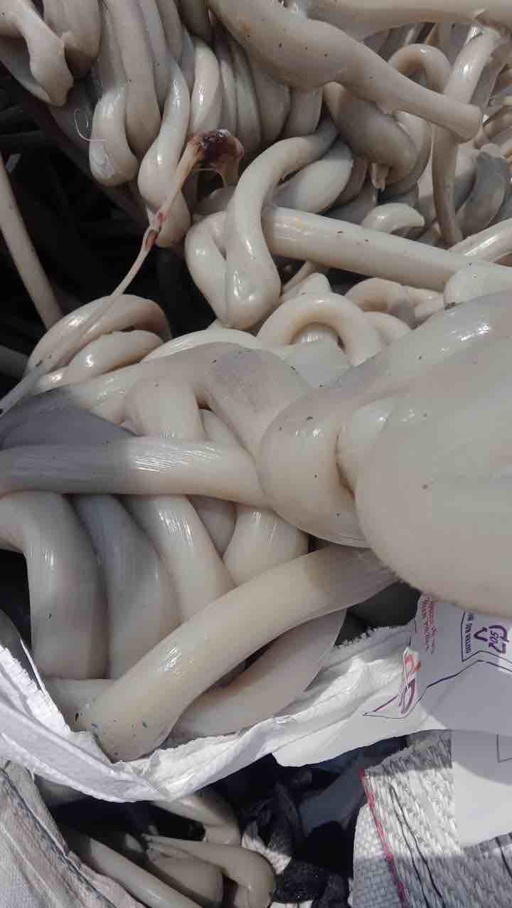 PP LAMS PP Mix Material Mix Scrap muzaffarnagar uttar pradesh india Plastic4trade Plastic4trade