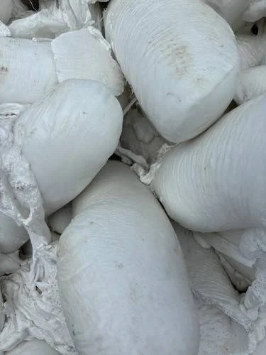 PP LUMPS PP Lumps Injection Molding delhi delhi india Plastic4trade