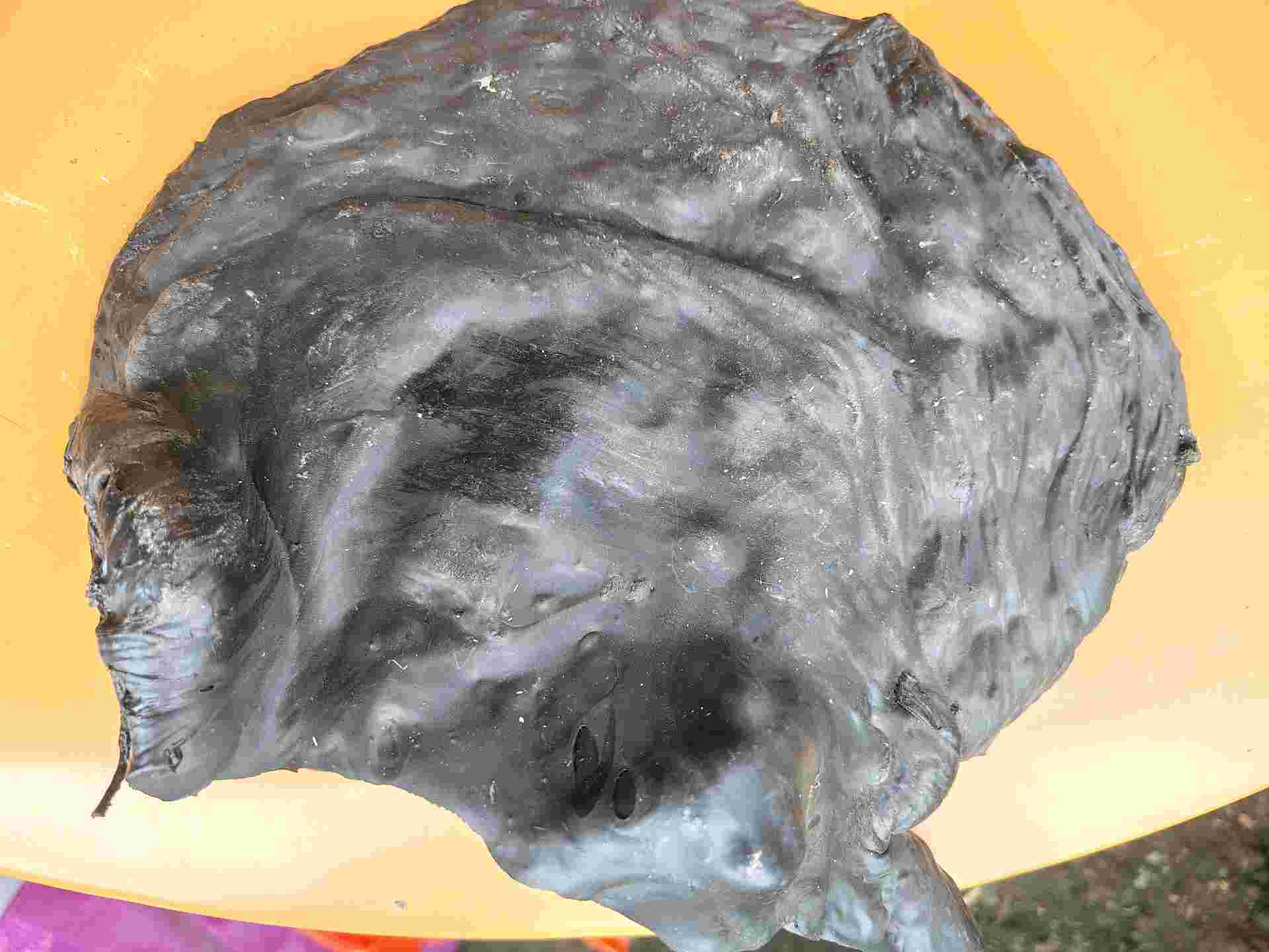 PP LUMPS PP Lumps Injection Molding raniganj west bengal india Plastic4trade