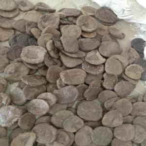 PP LUMPS RED GRY PP Lumps RAFFIA jabalpur madhya pradesh india Plastic4trade Plastic4trade