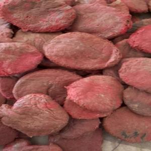 PP LUMPS RED GRY PP Lumps RAFFIA jabalpur madhya pradesh india Plastic4trade