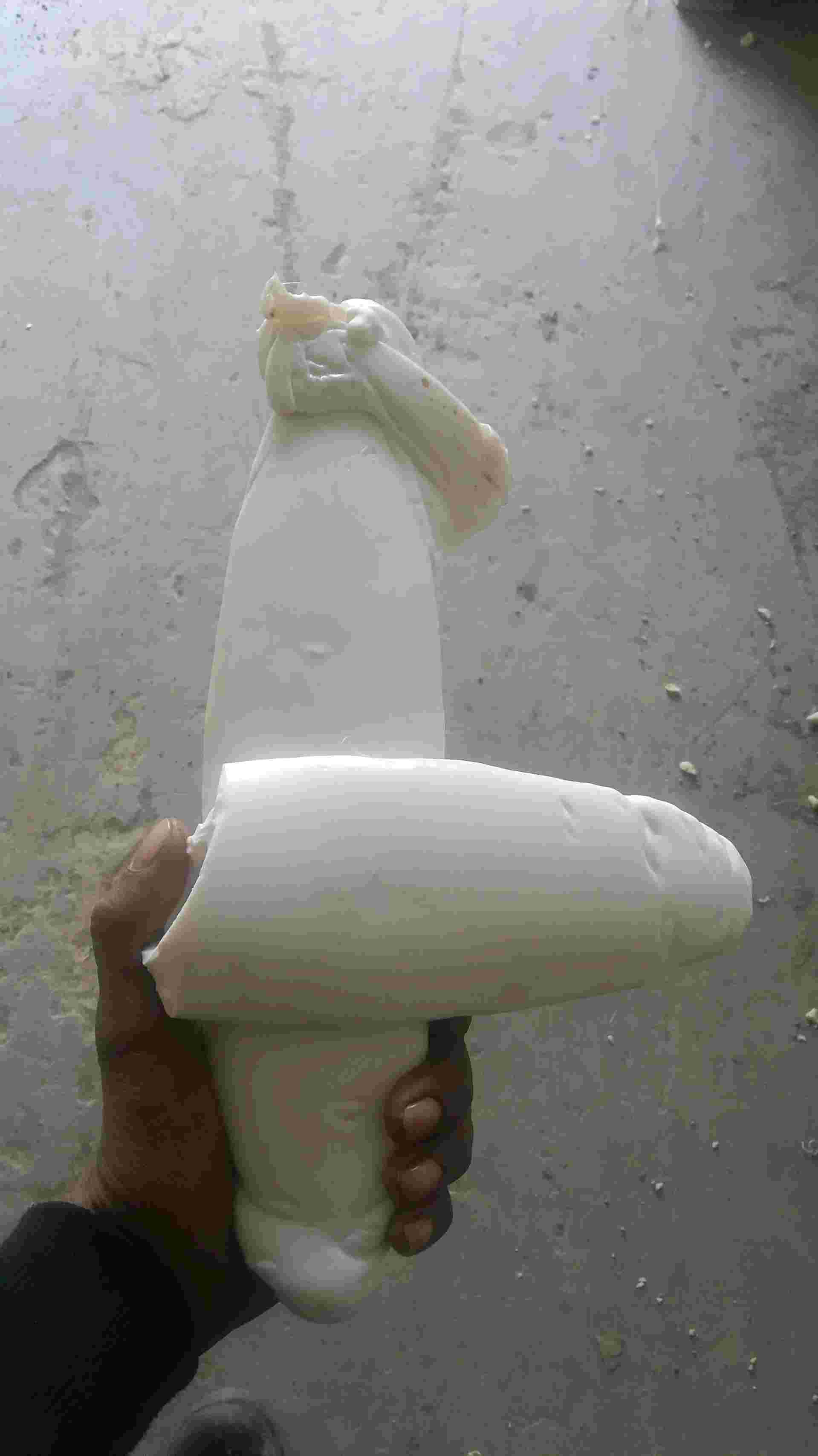 PP LUMS PP Scrap Injection Molding panipat haryana india Plastic4trade