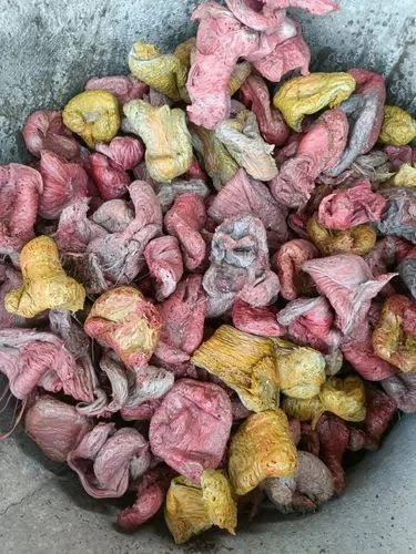 PP MIX COLOR SCRAP LUMPS PP Lumps Injection Molding barabanki uttar pradesh india Plastic4trade
