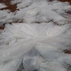 PP NATURAL FILM SCRAP PP Scrap Film Grade jaipur rajasthan india Plastic4trade