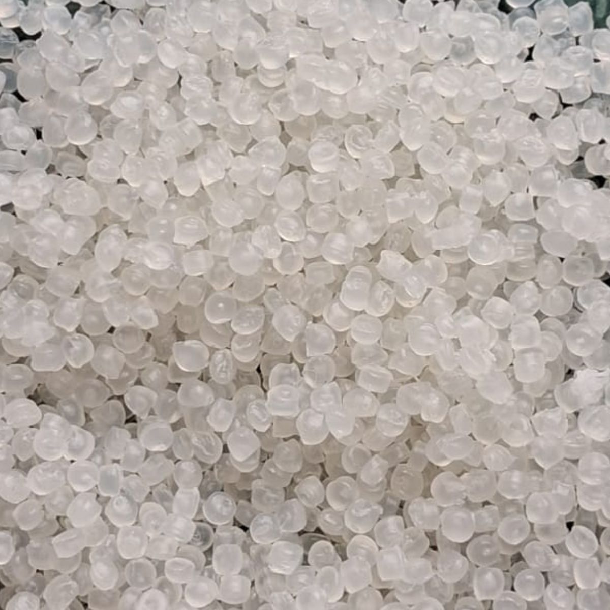 PP  NATURAL GRANULES PP Reprocess Granule Injection Molding pune maharashtra india Plastic4trade