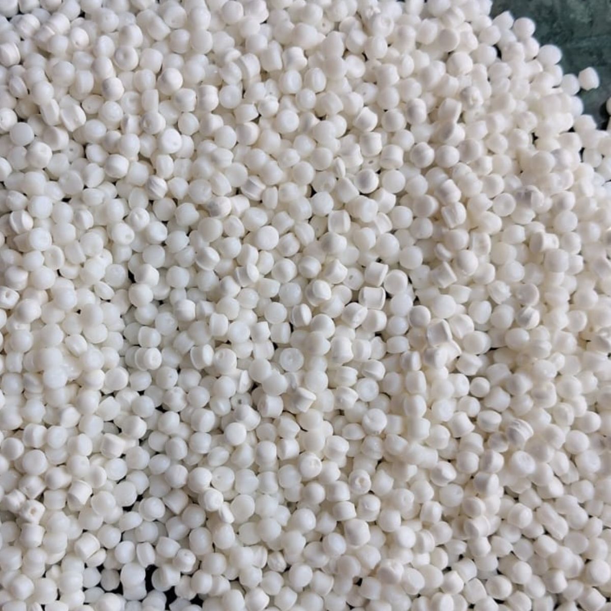 PP  NATURAL GRANULES PP Reprocess Granule Injection Molding pune maharashtra india Plastic4trade