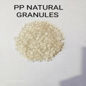 PP NATURAL GRANULES PP Reprocess Granule Injection Molding rajkot gujarat india Plastic4trade