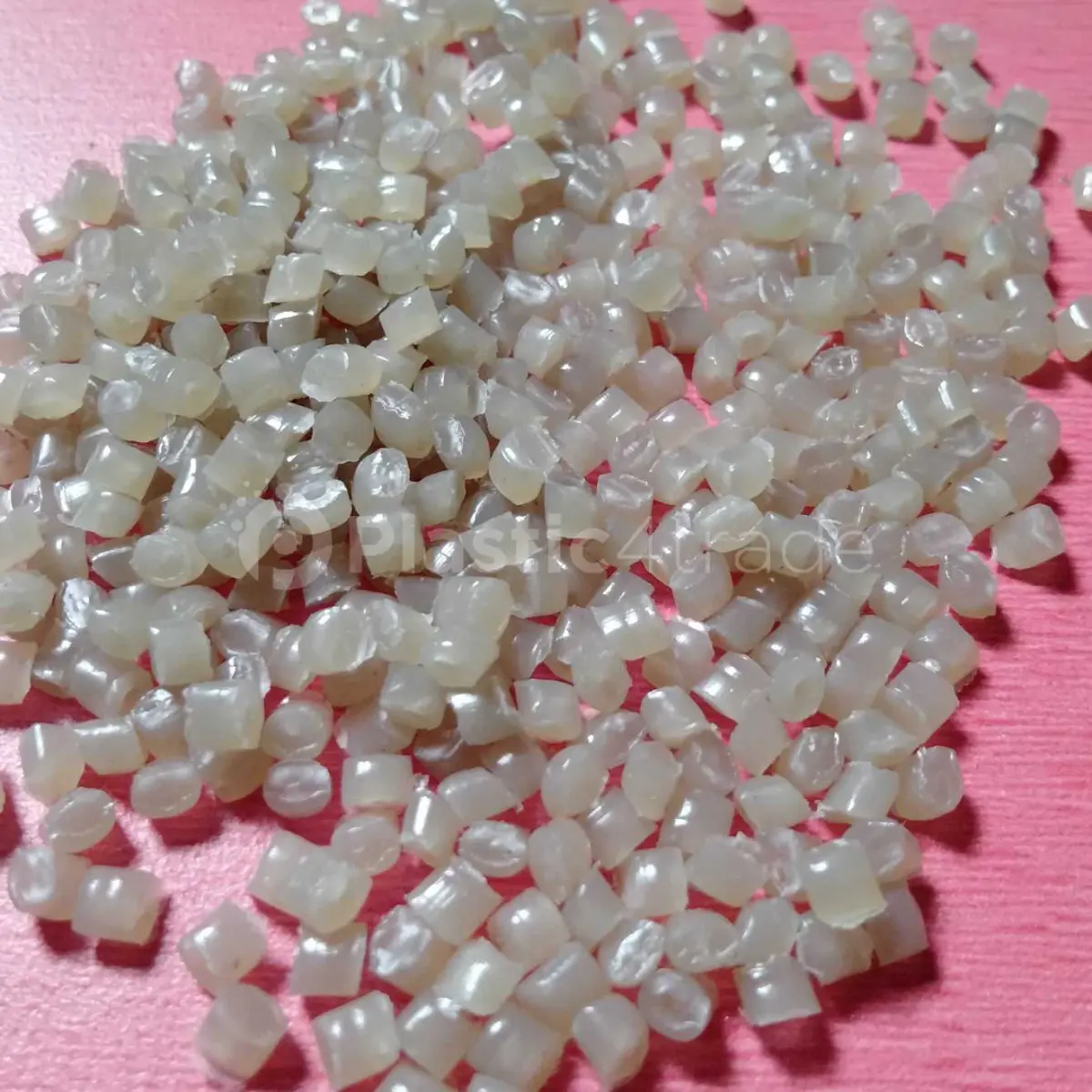 PP ROLL PP Reprocess Granule Injection Molding maharashtra india Plastic4trade