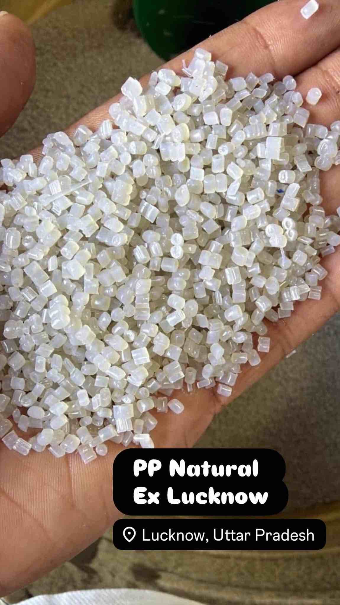 PP NATURAL (R) PP Reprocess Granule Injection Molding delhi division delhi india Plastic4trade