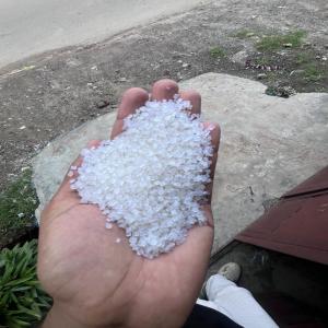 PP NATURAL REPROCESS GRANULES PP Reprocess Granule Film Grade delhi delhi india Plastic4trade