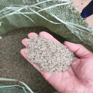 PP NATURAL REPROCESS GRANULES PP Reprocess Granule Injection Molding morbi undefined undefined Plastic4trade