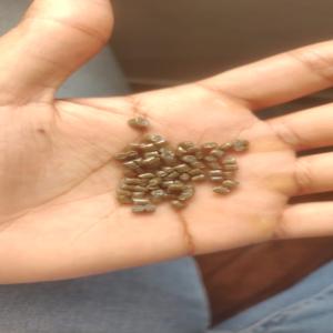 PP NATURAL SECOND GRANULES PP Reprocess Granule Injection Molding undefined delhi india Plastic4trade